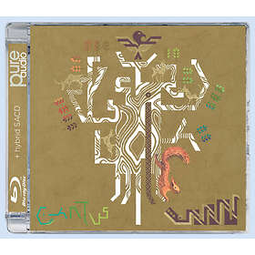 Cantus Yggdrasil CD