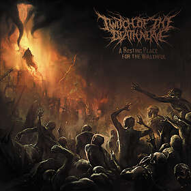 Twitch Of The Death Nerve A Resting Place For Wrathful CD