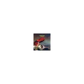 Gentle Octopus (Steven Wilson Mix) CD