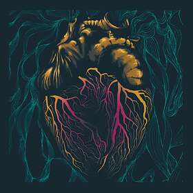 The Shadow Lizzards Someone's Heartache CD