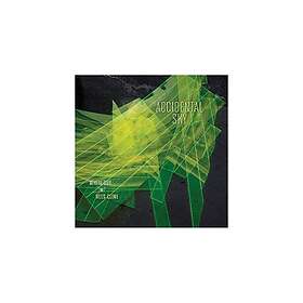 Out Accidental Sky CD