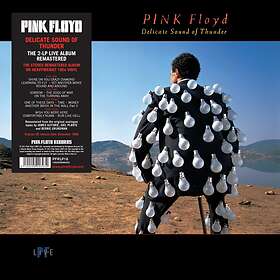 Pink Floyd Delicate Sound Of Thunder LP