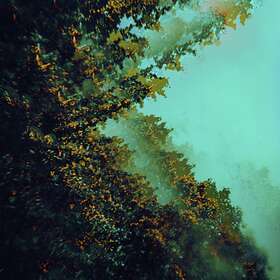 Polymoon Caterpillars Of Creation LP