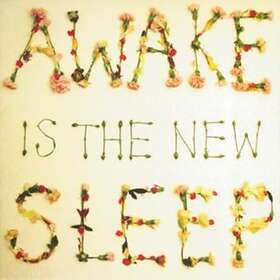 Ben Lee Awake Is The Sleep CD