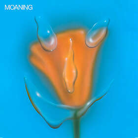 Moaning Uneasy Laughter LP