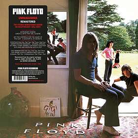 Pink Floyd Ummagumma LP