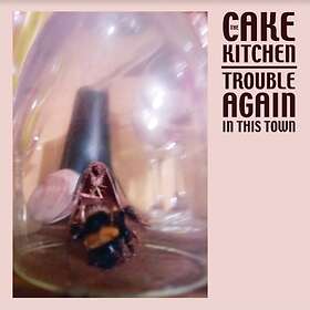 The Cakekitchen Trouble Again In This Town LP