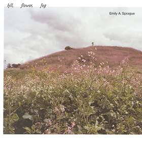 Emily A. Sprague Hill, Flower, Fog LP