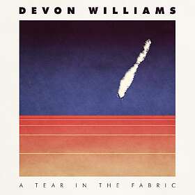 Devon Williams A Tear In The LP