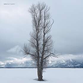 Sonna Keep It Together LP