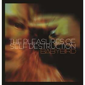 Babybird The Pleasures Of Self Destruction CD