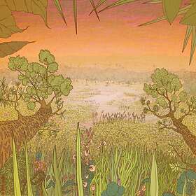 Pine Barons On The Meadow LP