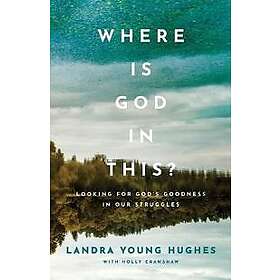 Where Is God in This? – Looking for God`s Goodness in Our Struggles