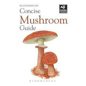 Concise Mushroom Guide