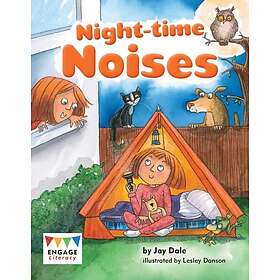 Night-time Noises