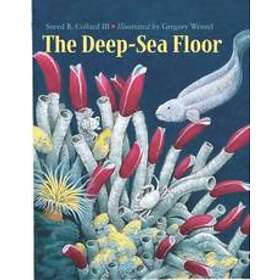The Deep-Sea Floor