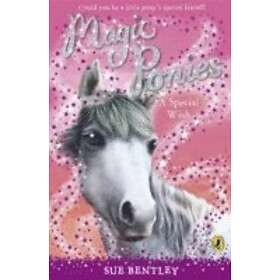 Magic Ponies: A Special Wish