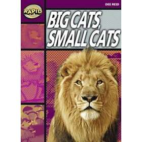 Rapid Reading: Big Cats Small Cats (Stage 1, Level 1A)