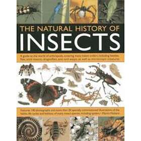 Natural History of Insects