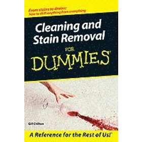 Cleaning and Stain Removal for Dummies