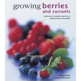 Growing Berries and Currants