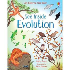 See Inside Evolution