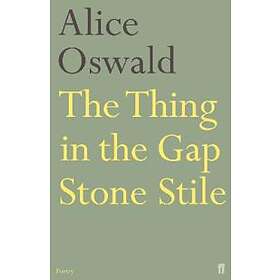 The Thing in the Gap Stone Stile