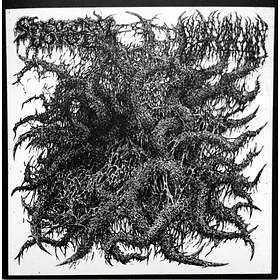 Spectral Voice / Blood Incantation Split LP