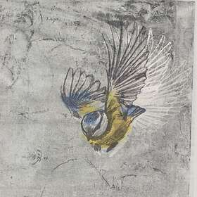 Mésange Heliotrope LP