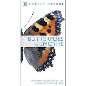 Butterflies and Moths