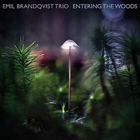 Emil Brandquist Entering The Woods LP
