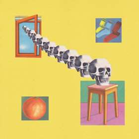 The Skygreen Leopards Family Crimes LP