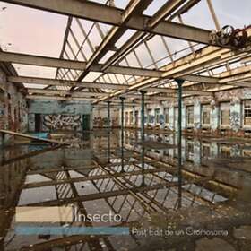 Edit De Un Cromosoma