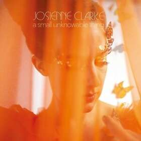 Josienne A Small Unknowable Thing LP