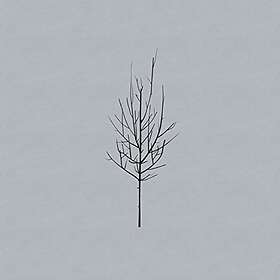 Low Ones And Sixes LP