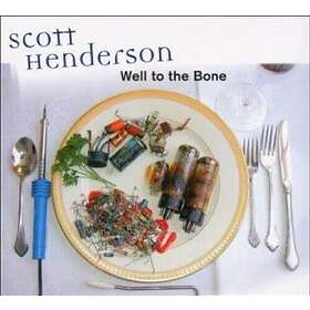 Scott Henderson Well To The Bone CD