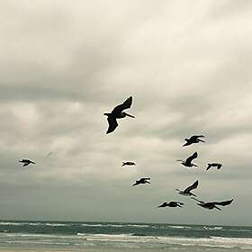 Karl In A Moment Music For Piano And Strings CD