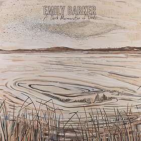Emily Barker A Dark Murmuration Of Words LP