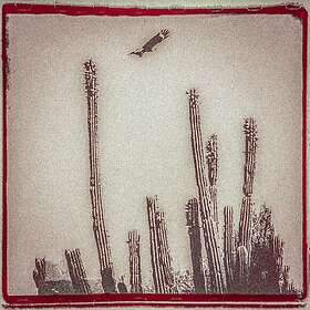 Alejandro Escovedo La Cruzada LP