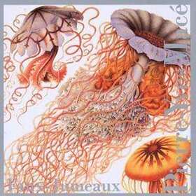 Pierre-Yves Faux-Jumeaux CD