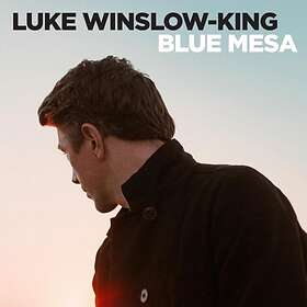 Luke Winslow-King Mesa LP