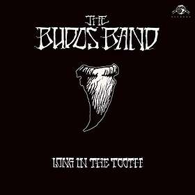 The Budos Band Long In Tooth LP