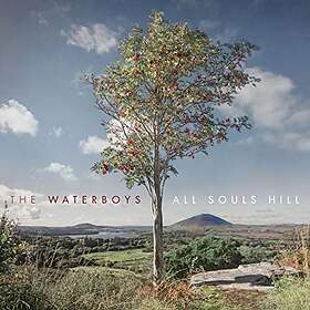 Waterboys All Souls Hill LP