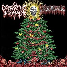 Cadaveric Incubator LP