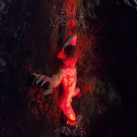 Sarahsson The Horgenaith CD