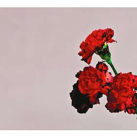 John Legend Love In The Future Deluxe Edition CD