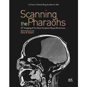 Scanning the Pharaohs