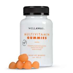 WellAware Multivitamin Gummies 60 st