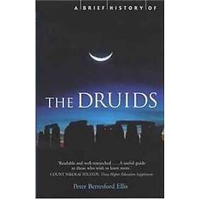 A Brief History of the Druids