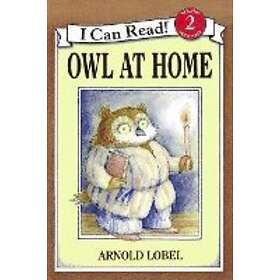 Owl At Home